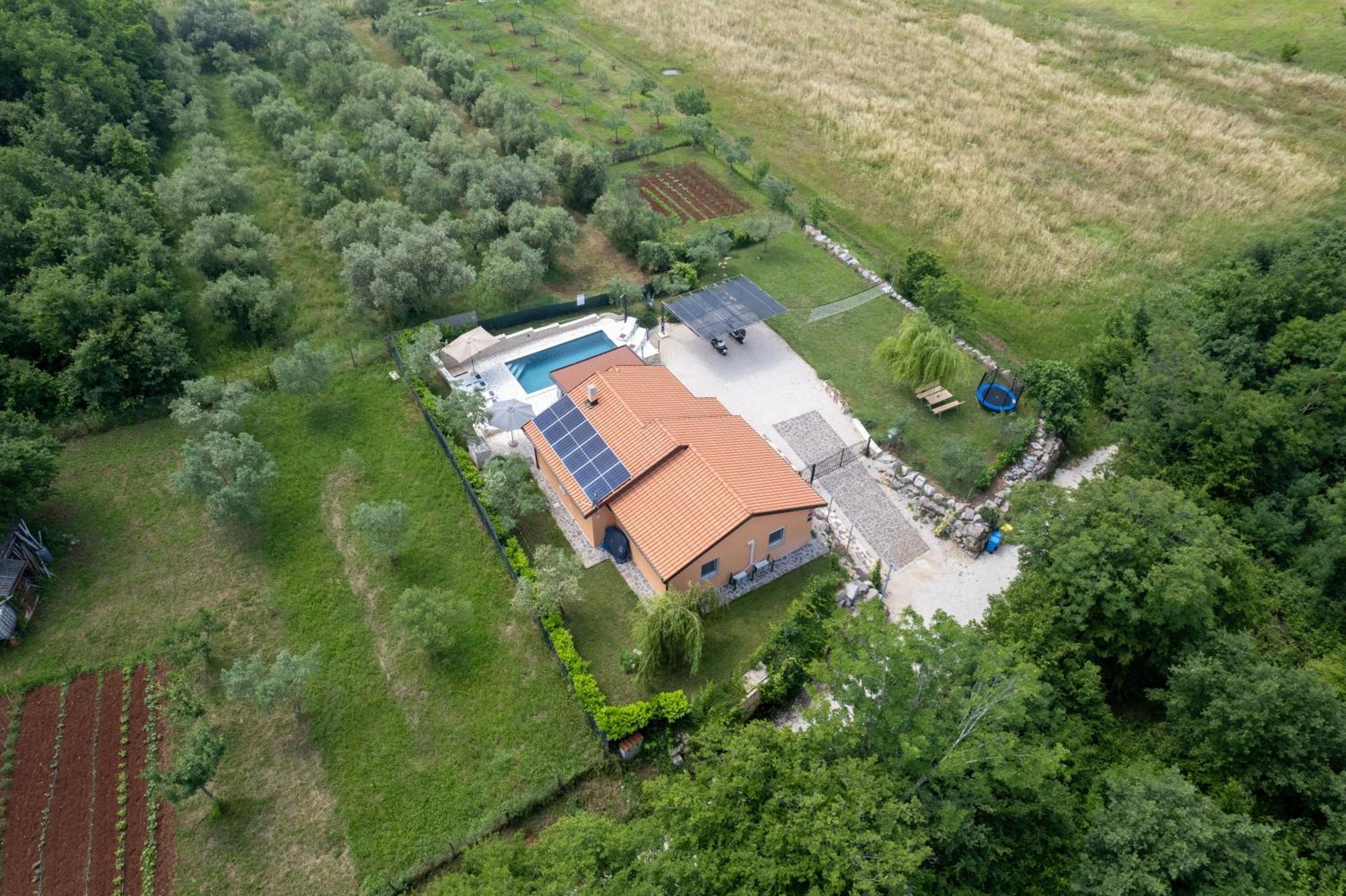 Villa Pendolina With Private Pool Buje Exteriér fotografie